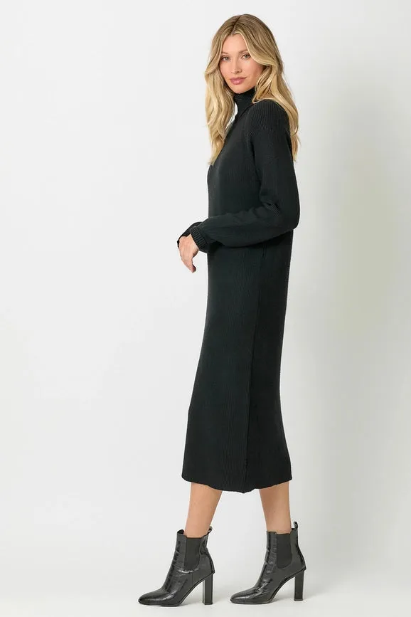 Turtle Neck Sweater Dress Black