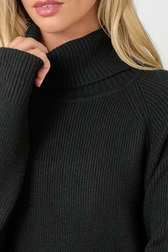 Turtle Neck Sweater Dress Black