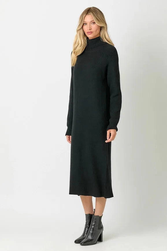 Turtle Neck Sweater Dress Black